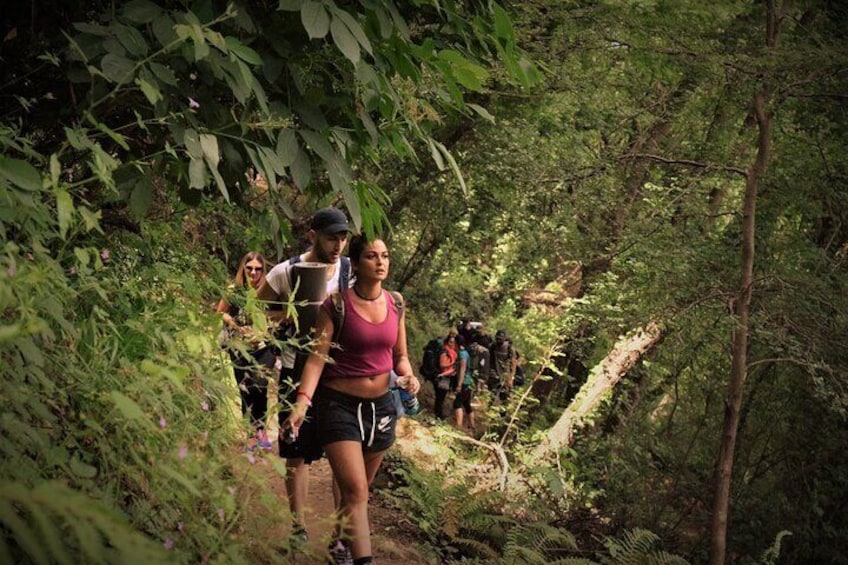 Hiking in the Park of Portofino