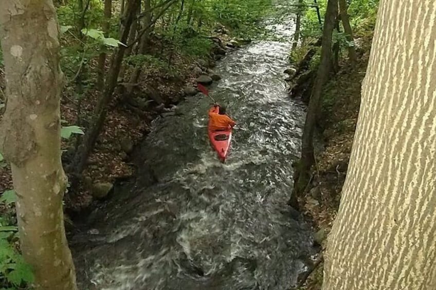 Guided Kayak Trip