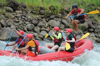 Rafting Klasse 3-4 "Jungle Run": Río Sarapiquí, Costa Rica