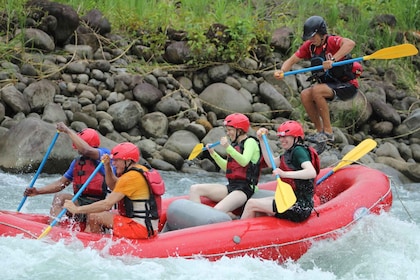 Clase 3-4 de rafting «Jungle Run»: Río Sarapiquí, Costa Rica