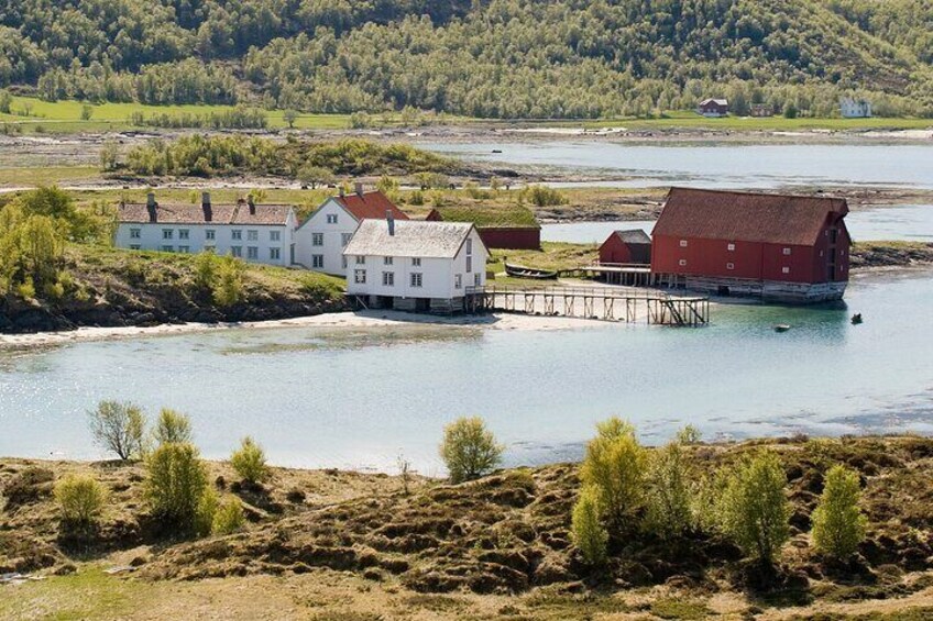 Kjerringøy and Nordfjord Cruise