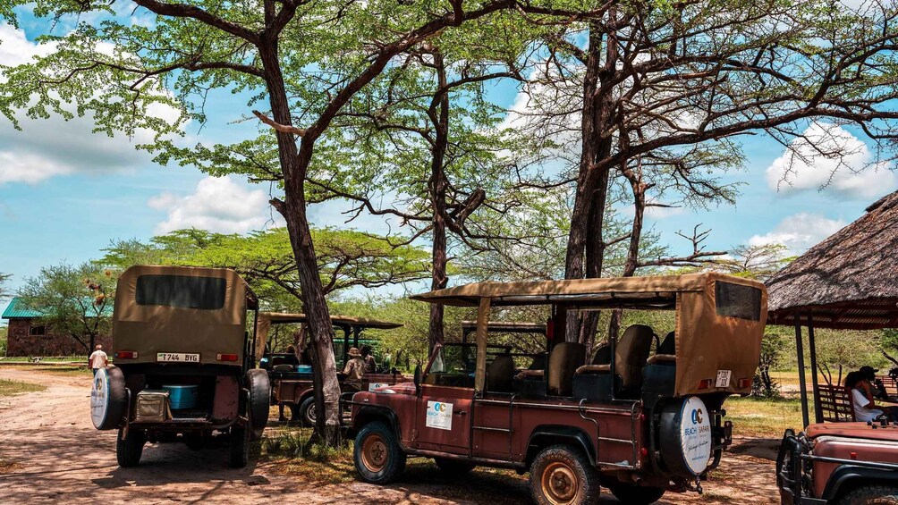 Picture 64 for Activity From Zanzibar: 2-Day 1-Night Selous GR Safari with Flights
