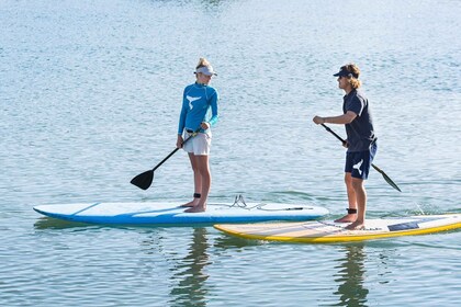 Knysna Stand Up Paddle Board Verleih