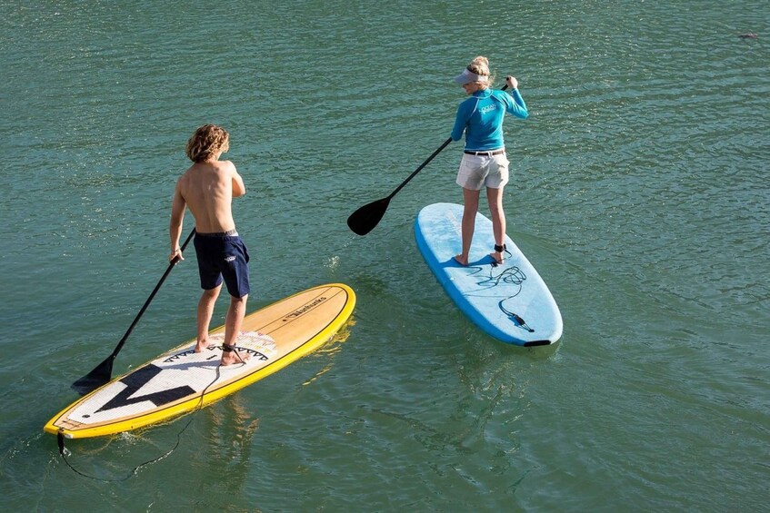 Picture 8 for Activity Knysna Stand Up Paddle Board Hire