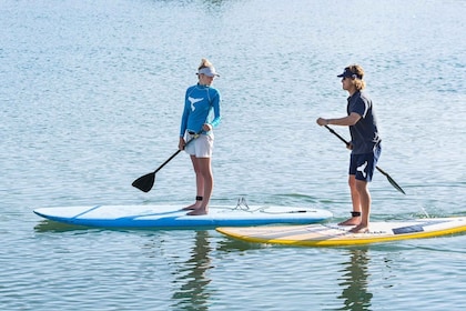 Knysna Stand Up Paddle Board huren