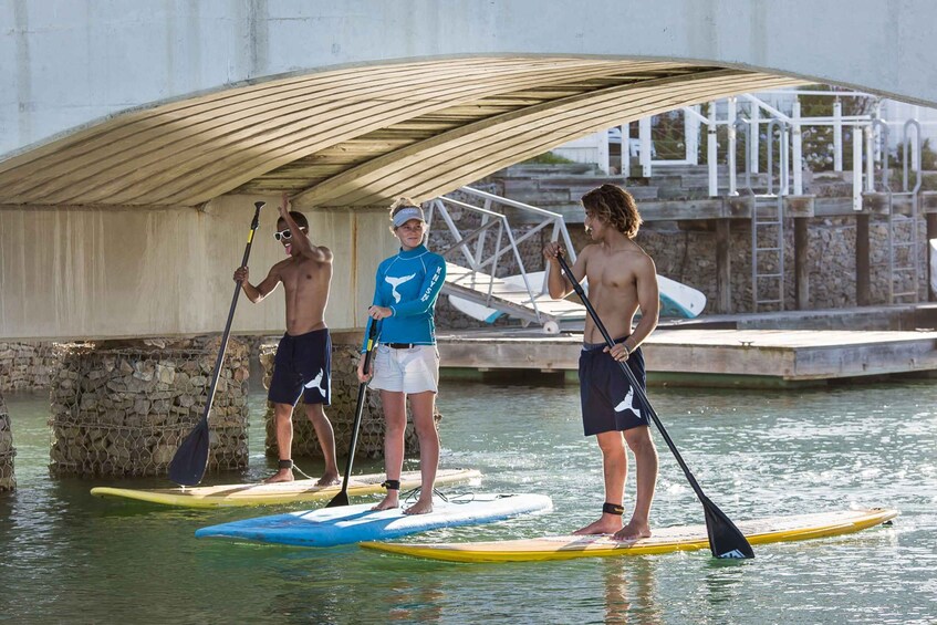 Picture 4 for Activity Knysna Stand Up Paddle Board Hire