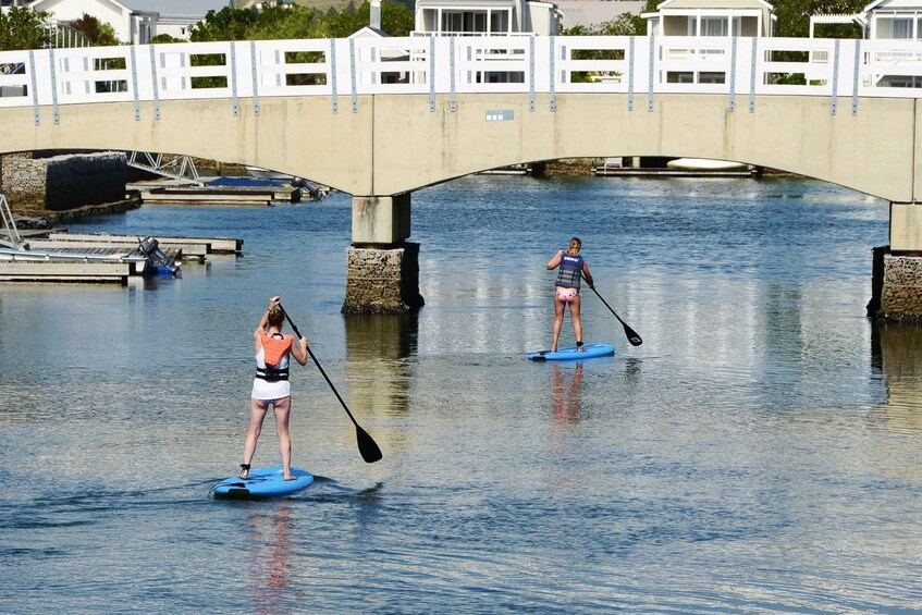 Picture 10 for Activity Knysna Stand Up Paddle Board Hire