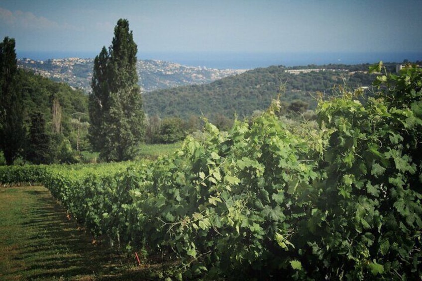 Day Trip; Grass, Gourdon and Wine Tasting