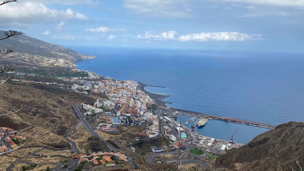 Picture 6 for Activity La Palma: Tacande Volcanic Landscape Tour