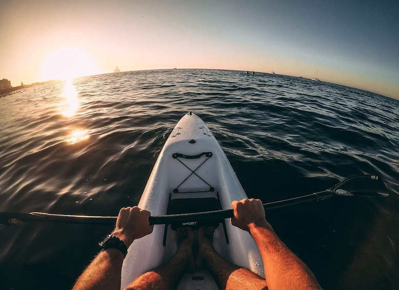 Picture 7 for Activity Cape Town: Marine Life Kayak Tour From the V&A Waterfront