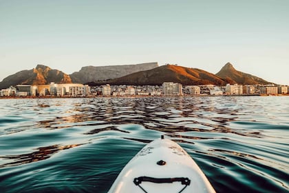 Kaapstad: Kajaktocht onderwaterleven vanuit V&A Waterfront