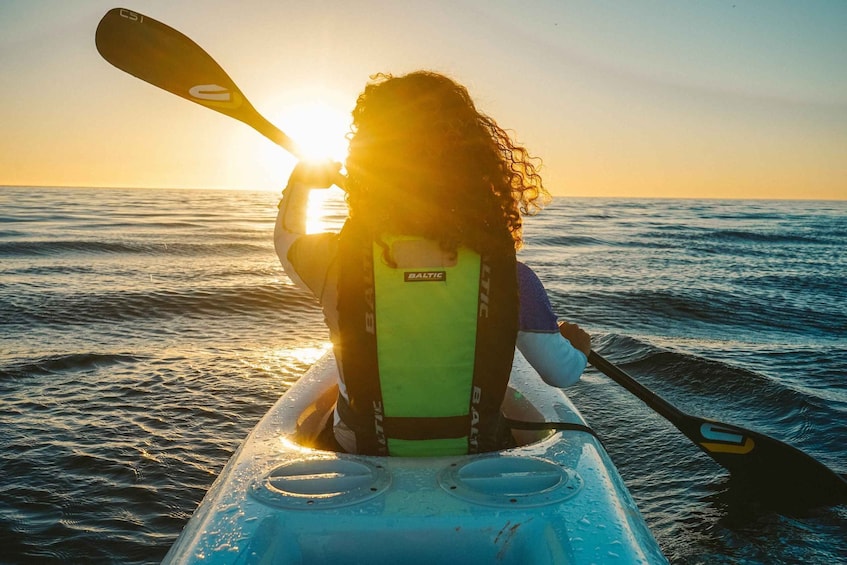 Picture 5 for Activity Cape Town: Marine Life Kayak Tour From the V&A Waterfront