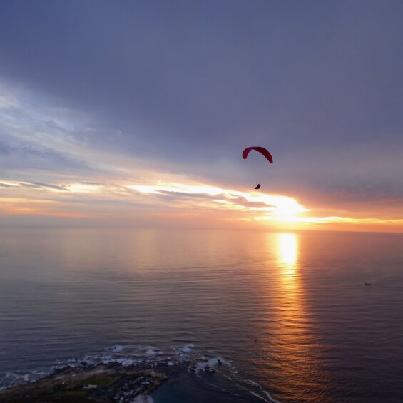 Picture 18 for Activity Cape Town: Lion's Head Sunrise or Sunset Hike