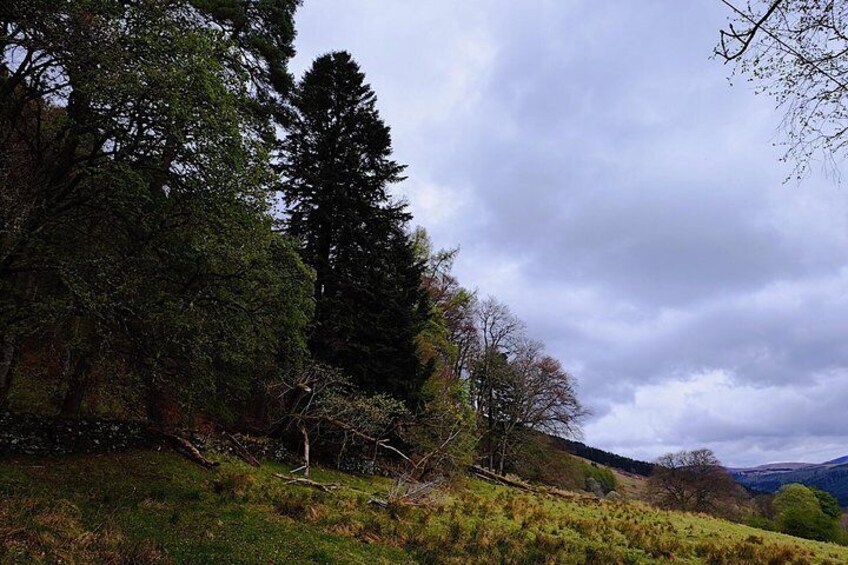 Stopping at Rob Roy's resting place