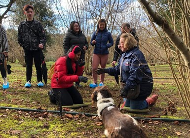 Truffle Hunt & Truffle Tasting