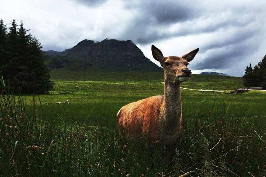 Meeting the locals 