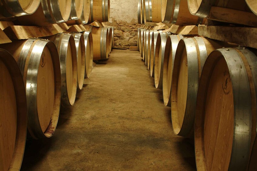 Picture 3 for Activity Aix-en-Provence: Half Day Wine Tour in Bandol and Cassis