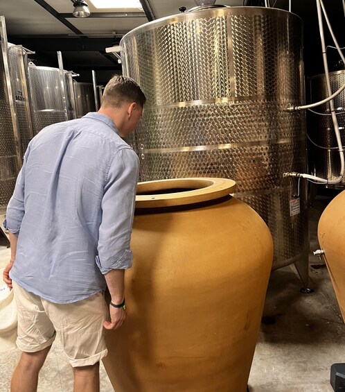 Picture 4 for Activity Aix-en-Provence: Half Day Wine Tour in Bandol and Cassis