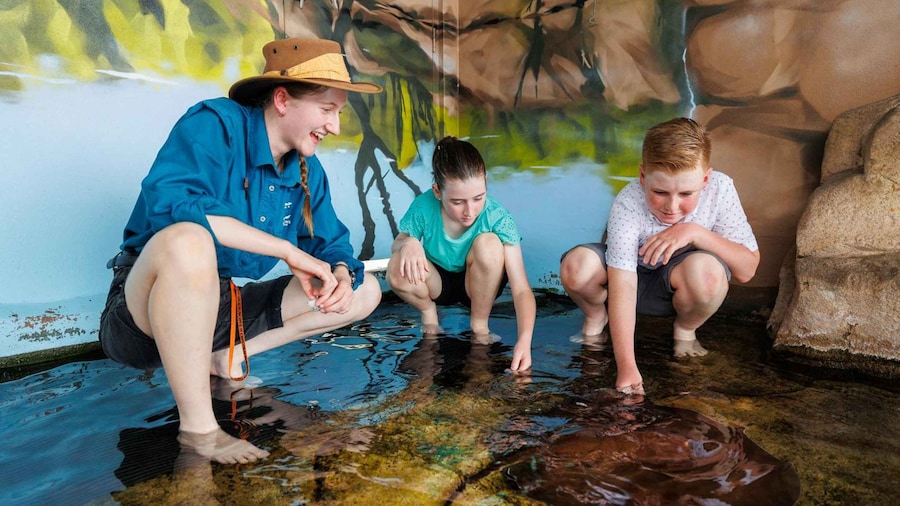 Darwin: Whipray Encounter with Entry to Crocosaurus Cove