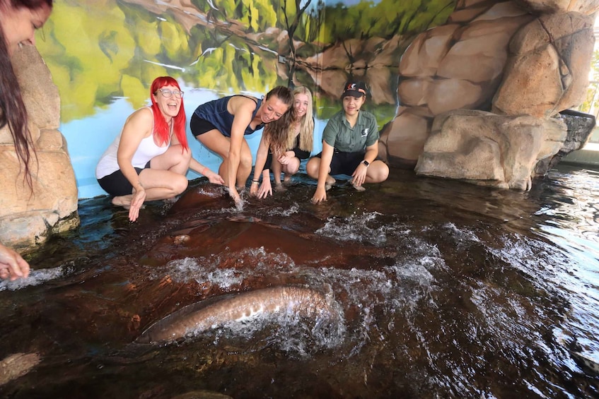 Picture 2 for Activity Darwin: Whipray Encounter with Entry to Crocosaurus Cove