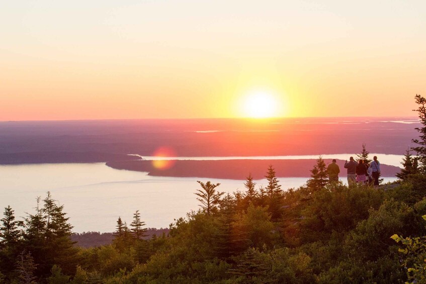 Picture 4 for Activity Acadia: Private Tour and Hike