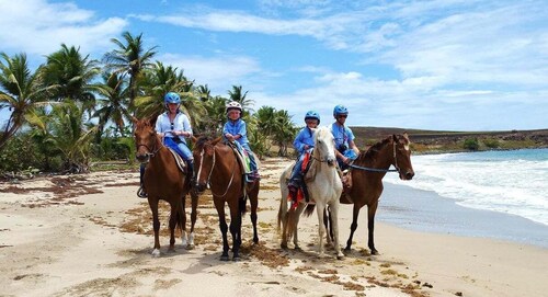 Saint Lucia Horseback Riding: Explore the Island in Style