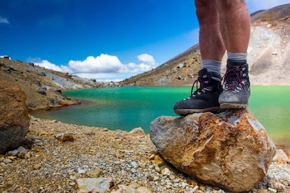 From Taupo: Shuttle Transfer for Tongariro Alpine Crossing