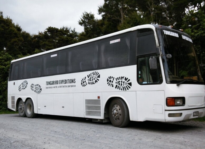 Picture 7 for Activity From Taupo: Shuttle Transfer for Tongariro Alpine Crossing