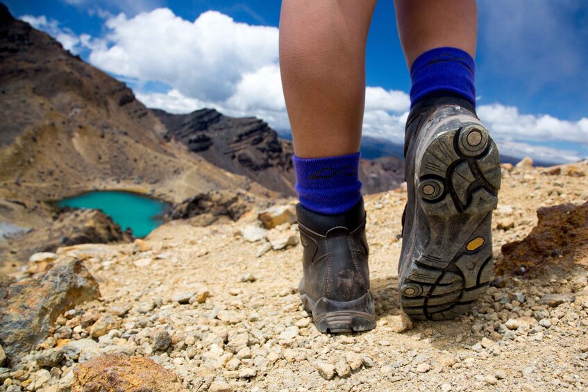 Picture 5 for Activity From Taupo: Shuttle Transfer for Tongariro Alpine Crossing