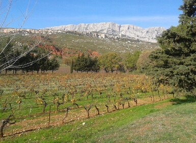 Au départ d'Aix-en-Provence : Tour du Luberon et des vignobles avec dégusta...