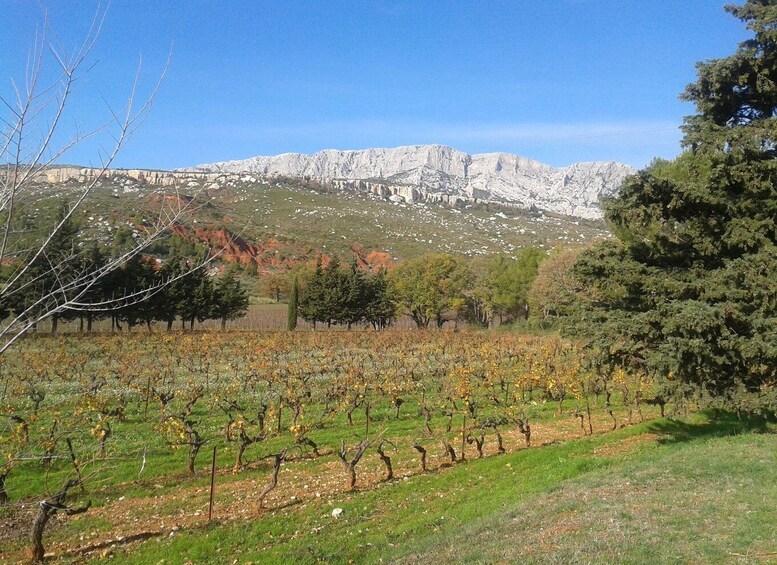 Picture 1 for Activity From Aix-en-Provence: Luberon & Vineyards Tour with Tastings