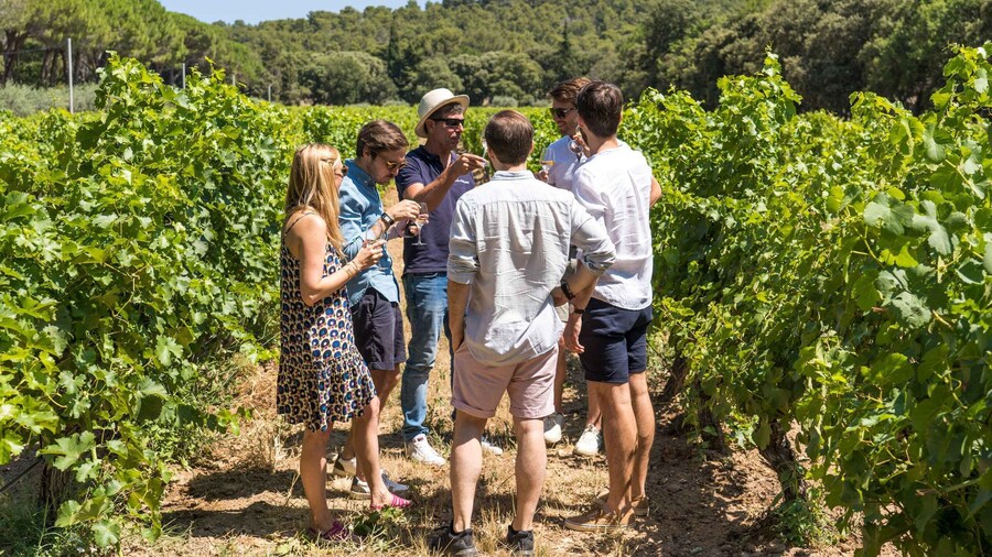 From Aix-en-Provence: Luberon & Vineyards Tour with Tastings