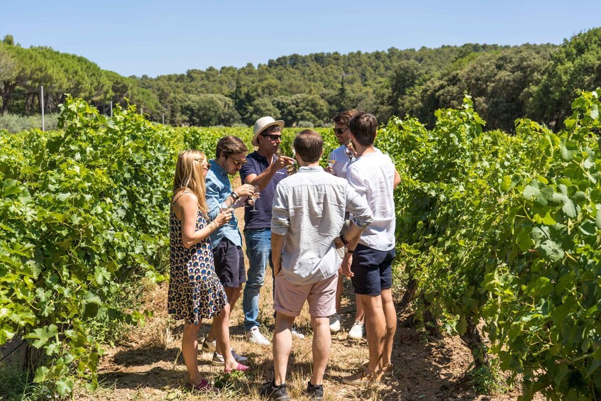 From Aix-en-Provence: Luberon & Vineyards Tour with Tastings