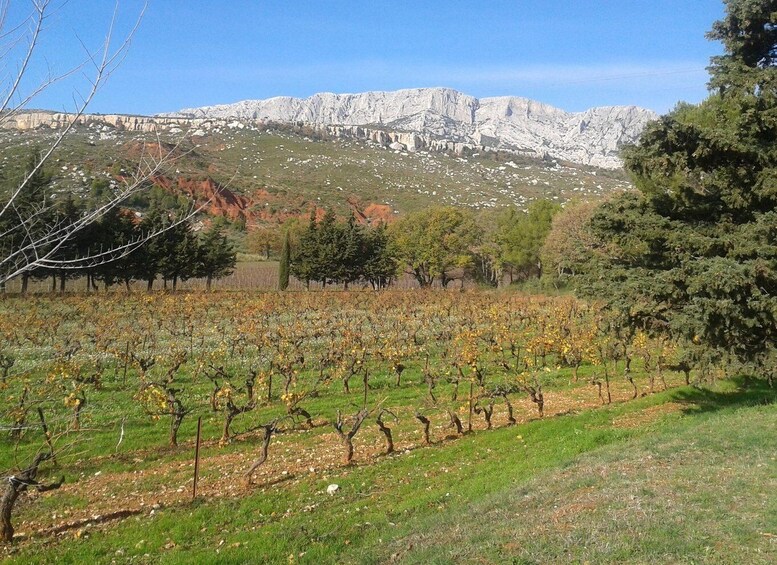 Picture 1 for Activity From Aix-en-Provence: Luberon & Vineyards Tour with Tastings