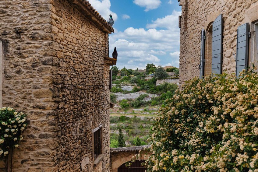 Picture 6 for Activity From Aix-en-Provence: Wine & Luberon villages Full-day Tour