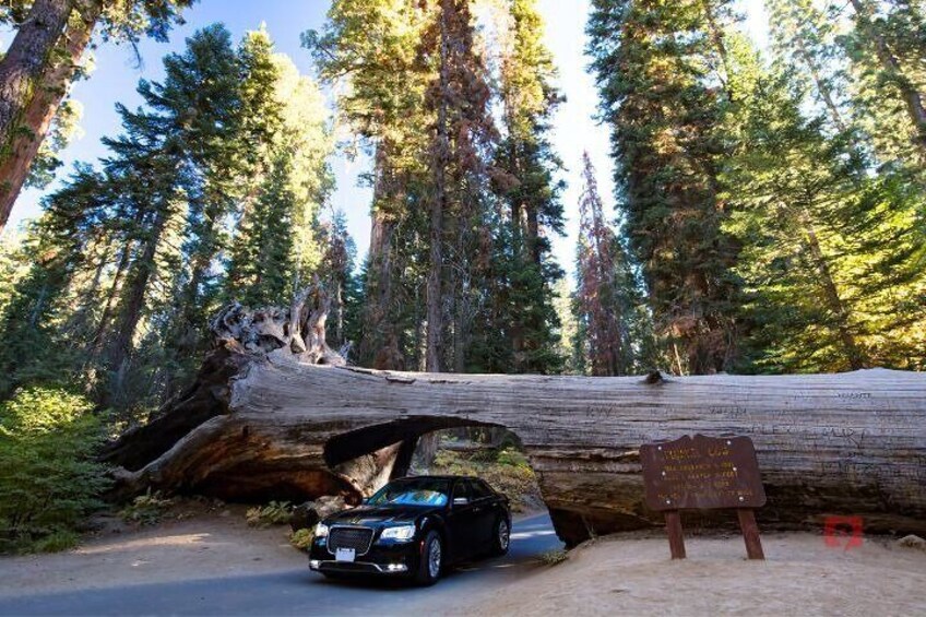 Sequoia and Kings Canyon Self Guided Audio Driving Tour