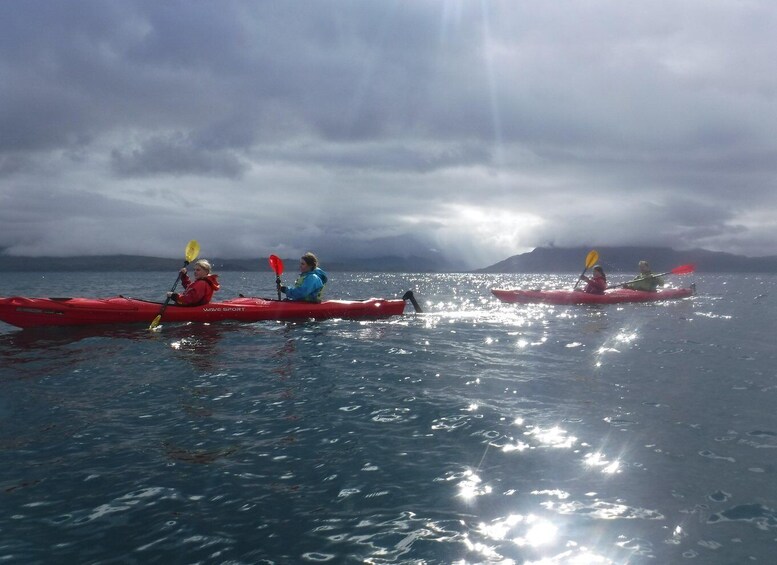 Picture 5 for Activity Isle of Skye : Taste of Scotland Kayak Tour