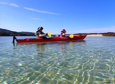 Isle of Skye : Taste of Scotland Kayak Tour