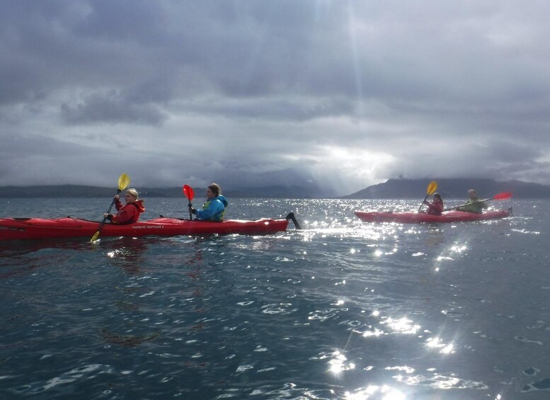 Picture 5 for Activity Isle of Skye : Taste of Scotland Kayak Tour