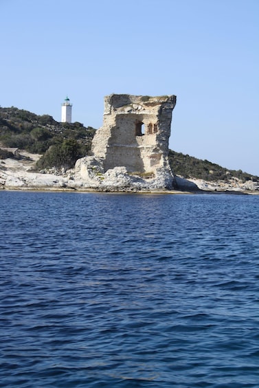 Picture 5 for Activity From Saint-Florent: Boat Transfer to Saleccia or Lotu Beach