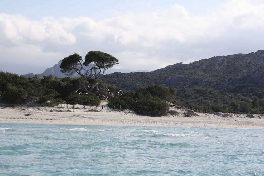 Picture 3 for Activity From Saint-Florent: Boat Transfer to Saleccia or Lotu Beach