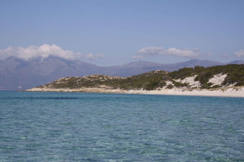 Picture 4 for Activity From Saint-Florent: Boat Transfer to Saleccia or Lotu Beach
