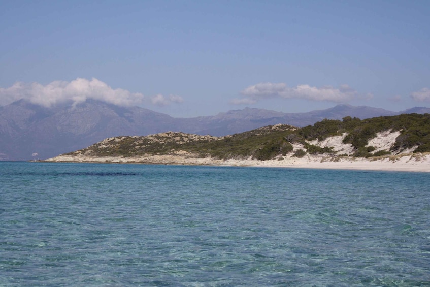 Picture 4 for Activity From Saint-Florent: Boat Transfer to Saleccia or Lotu Beach