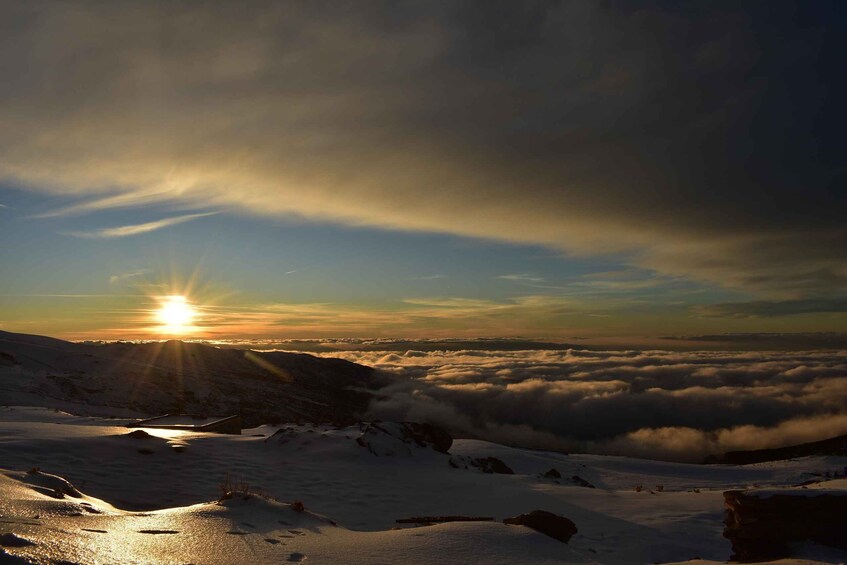 Picture 5 for Activity Sunset in Sierra Nevada at 2,500m altitude