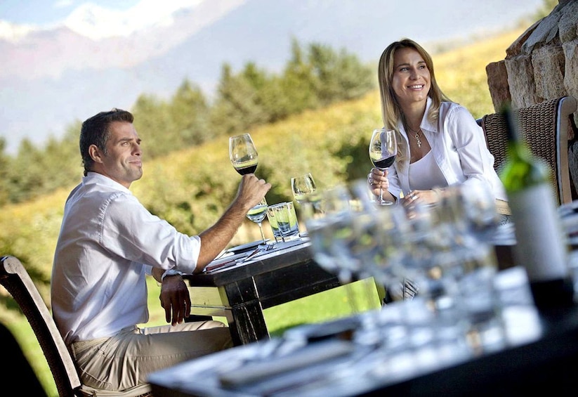 Charms of Mendoza: Private Tour 3 Wineries with Paired Lunch