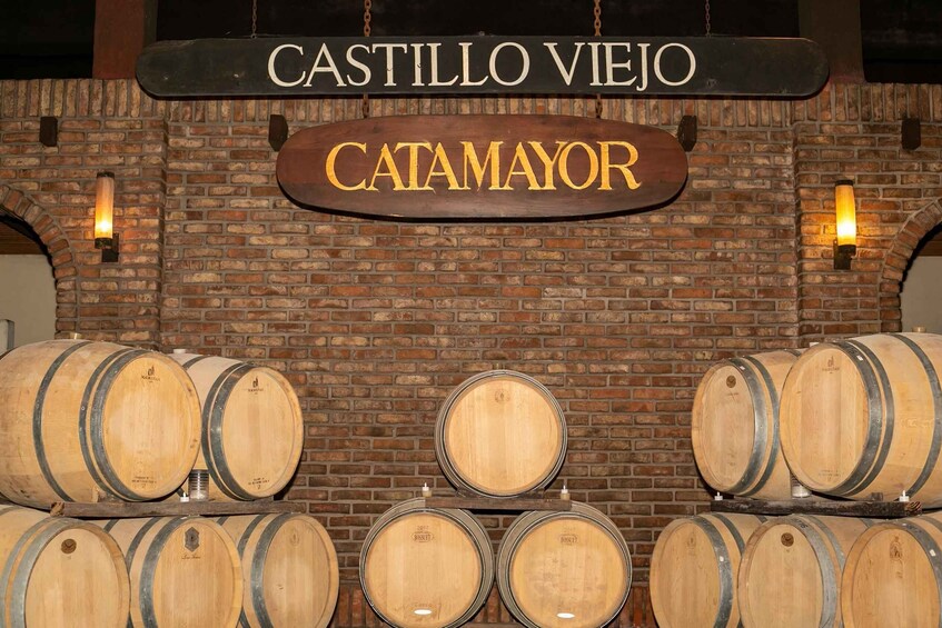 Picture 3 for Activity Castillo Viejo Winery Tour and Premium Tasting