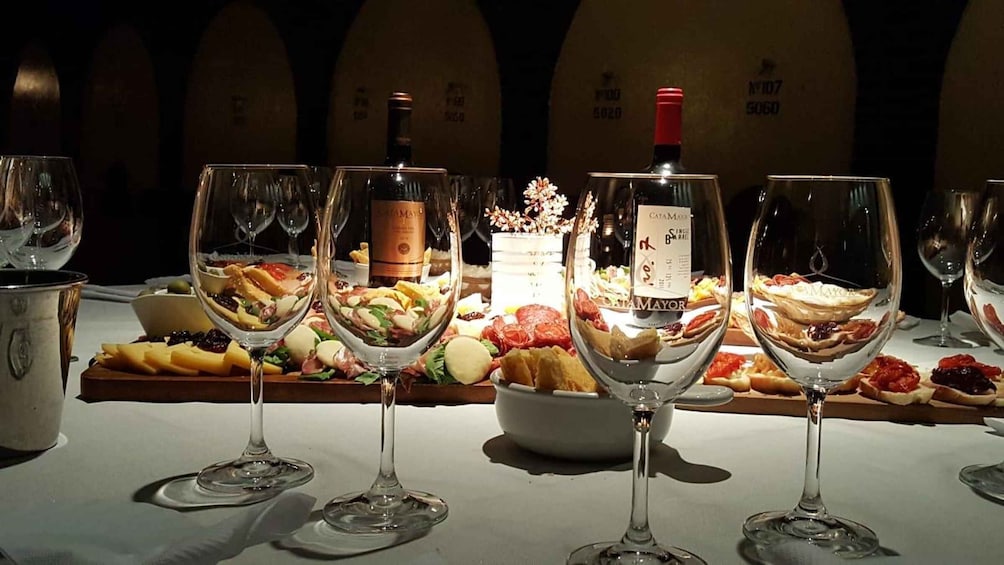 Castillo Viejo Winery Tour and Premium Tasting