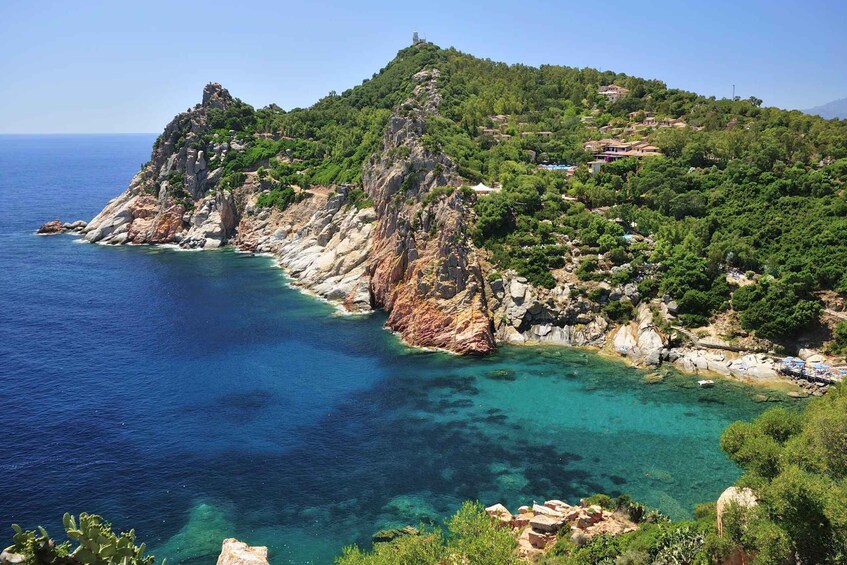 Picture 5 for Activity Olbia: Dolphin Watching and Snorkeling Boat Tour