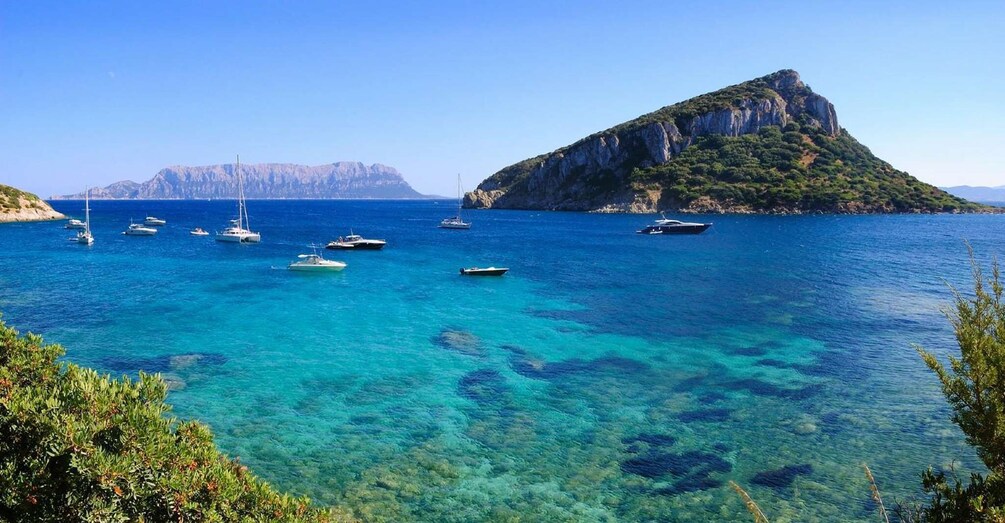 Picture 1 for Activity Olbia: Dolphin Watching and Snorkeling Boat Tour