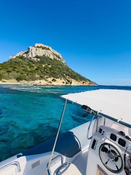 Picture 8 for Activity Olbia: Dolphin Watching and Snorkeling Boat Tour